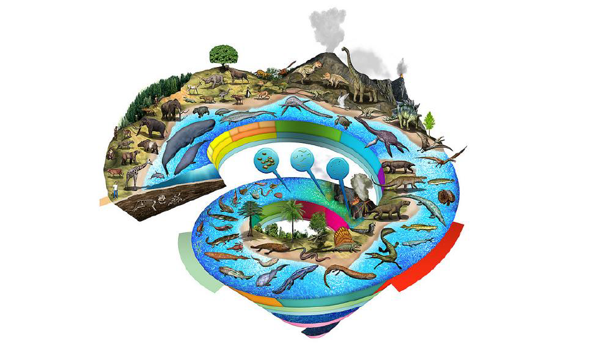 ¿Qué es el Tiempo Geológico y cómo se divide?