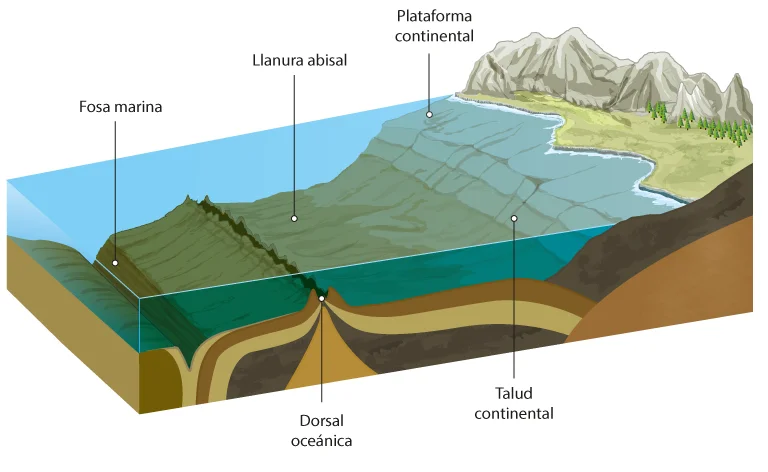 Cuencas Oceánicas: Características