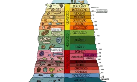 Datación Radiométrica