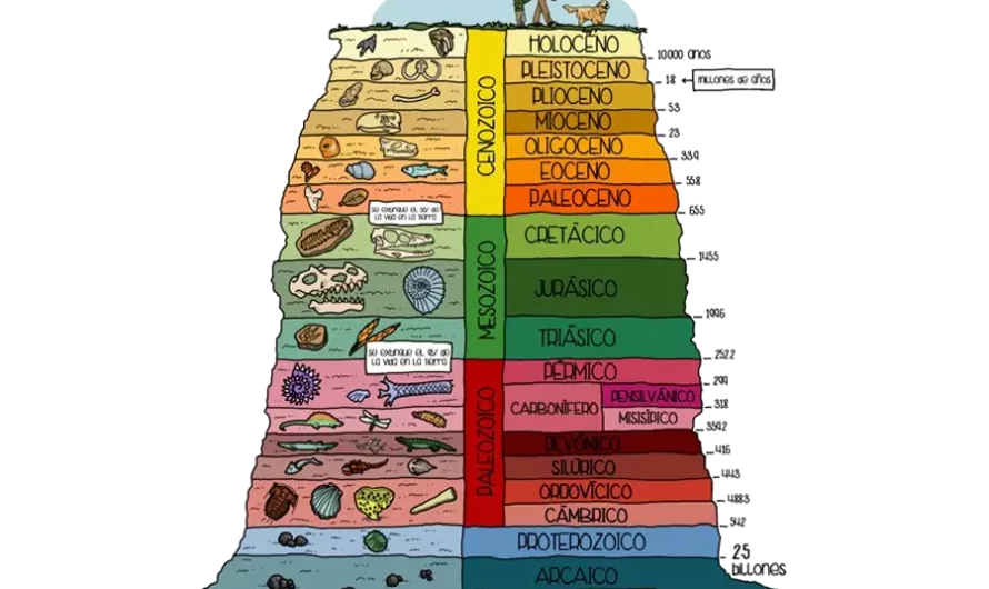 Datación Radiométrica: Definición, Fundamentos y Fiabilidad