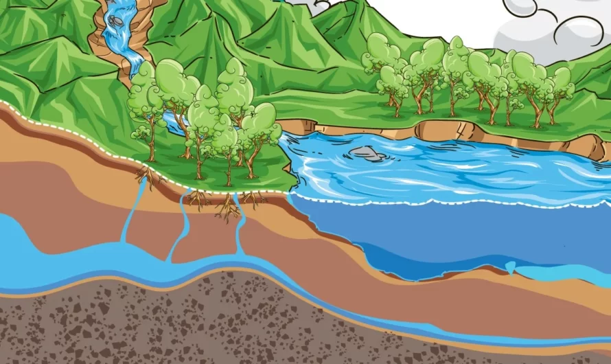 Geología del Agua Subterránea: Almacenamiento y Flujo