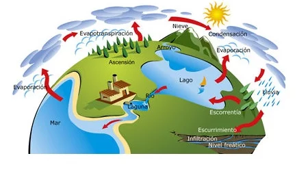 En la figura se puede apreciar de manera referencia cada uno de los procesos que están presentes en el ciclo del agua