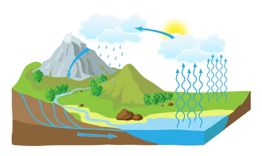 Ciclo del Agua: Importancia, Procesos y Conservación