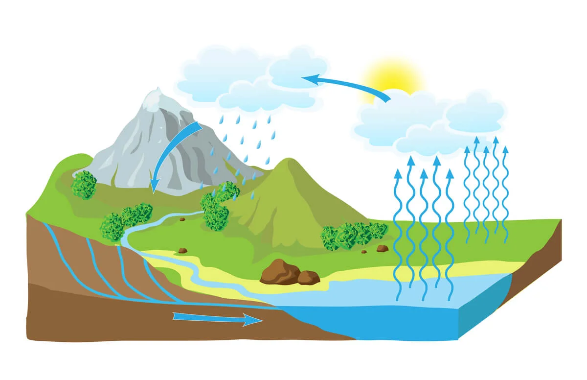 Ciclo del Agua