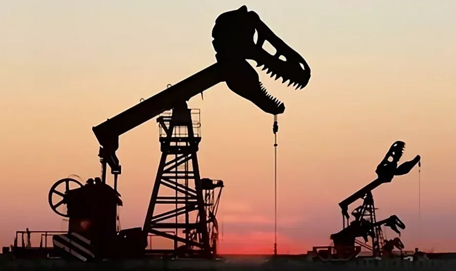 Origen de los Hidrocarburos: De Fósiles a Combustibles