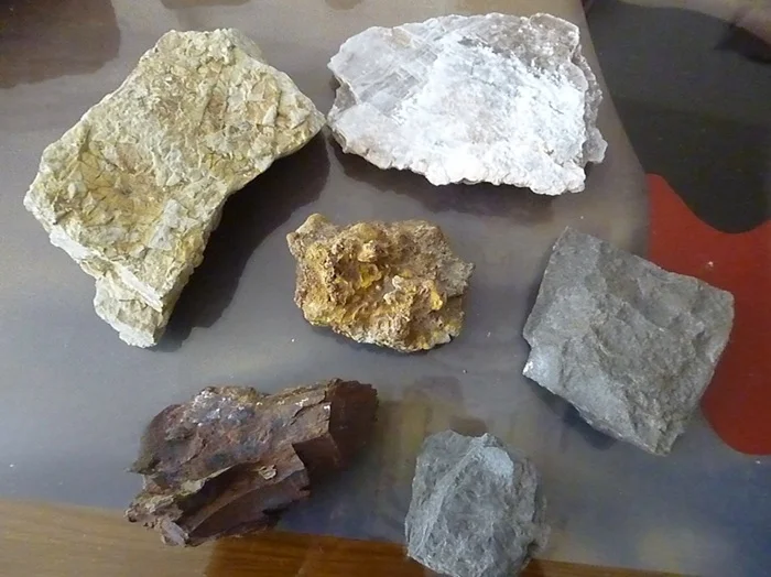 Rocas Detríticas / Clásticas